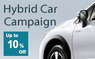 Hybrid Car Campaign
