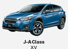 J-A	Class XV