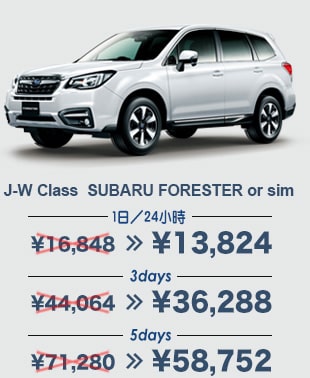 J-W Class SUBARU FORESTER or sim